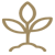 綠植選品