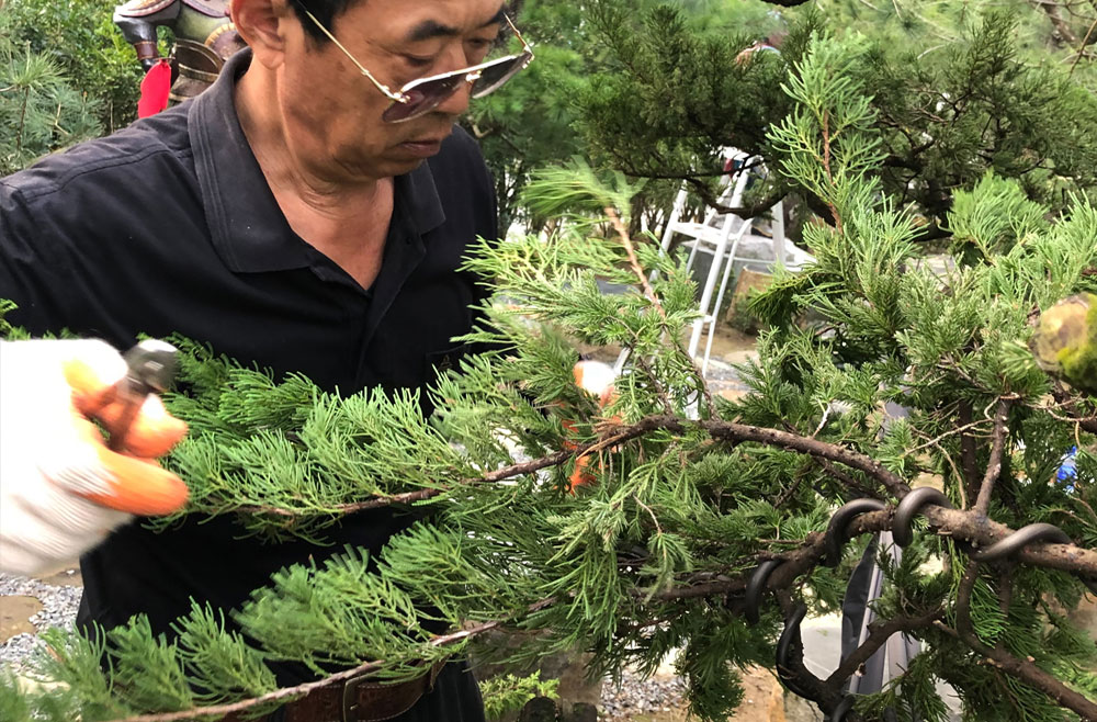 除蟲保健